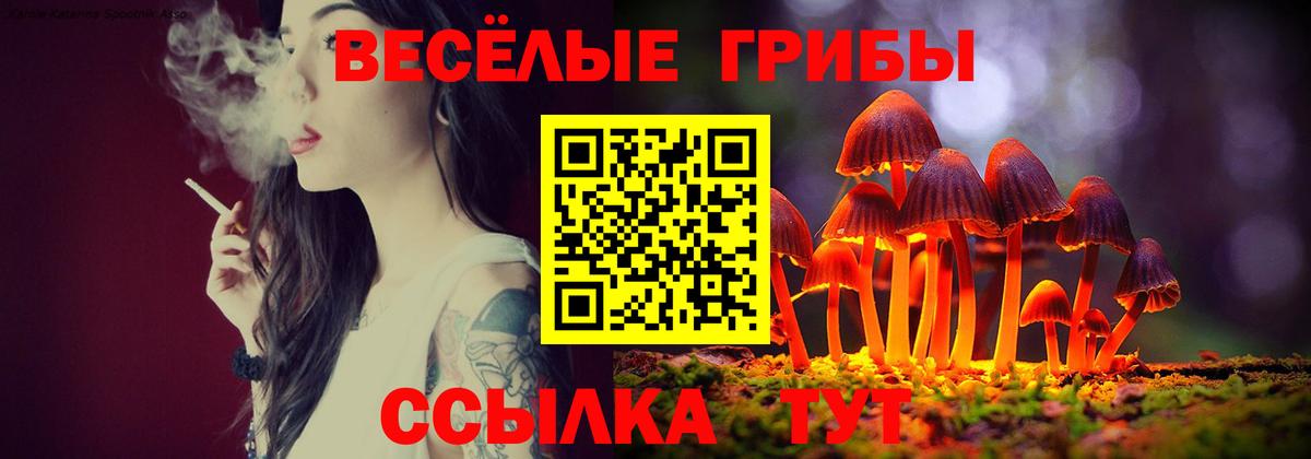 Псилоцибиновые грибы мицелий  закладка  Кингисепп  Галлюциногенные грибы Psilocybine cubensis  Вход с VPN 