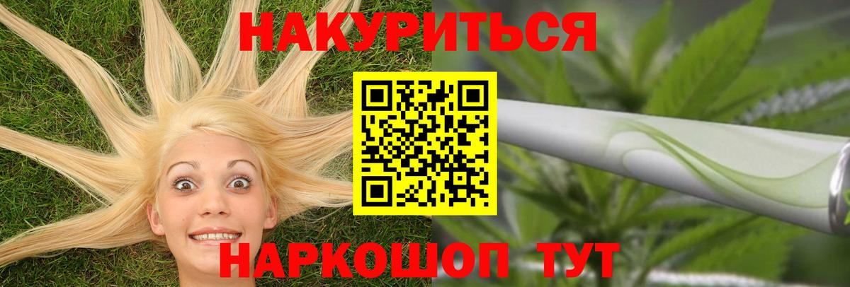 Бошки Шишки план Кингисепп